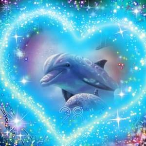 Meet your Posher, Bernadette